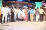 ra-ra-krishnayya-audio-launch-03