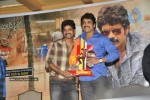 Ragada Movie Triple Platinum Disc Function - 37 of 48