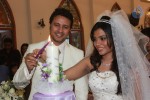 Raja n Amritha Wedding Reception - 11 of 19