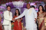 Raja n Amritha Wedding Reception - 15 of 19