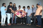 raja-rani-movie-audio-launch
