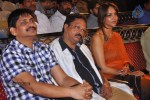 Rajakota Rahasyam Movie Audio Launch - 21 of 81