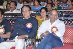 Rajendra Prasad Felicitation Photos - 80 of 206