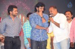 rakshasudu-audio-launch-03