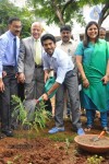 Ram Charan launches Apollo Go Green Initiative - 3 of 90