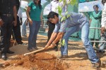 Rana Plants Trees Event - 8 of 27