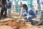 Rana Plants Trees Event - 10 of 27
