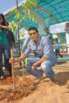 Rana Plants Trees Event - 13 of 27