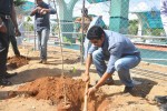 Rana Plants Trees Event - 14 of 27