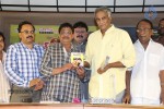 real-star-movie-audio-launch