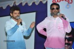 renigunta-movie-platinum-disc-function