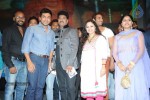 rough-movie-audio-launch