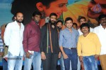 rough-movie-audio-launch