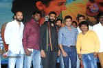 rough-movie-audio-launch