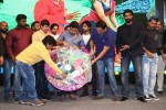 rough-movie-audio-launch-03