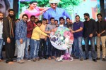 rough-movie-audio-launch-03