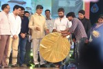 rowdy-fellow-audio-launch-03