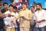 rowdy-fellow-audio-launch-03