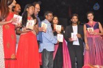 rudhramadevi-audio-launch-at-warangal