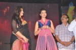 rudhramadevi-audio-launch-at-warangal