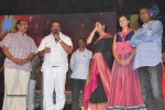 rudhramadevi-audio-launch-at-warangal