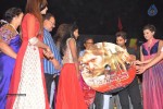 rudhramadevi-audio-launch-at-warangal