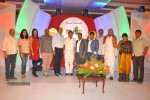 rvs-tv-channel-launch