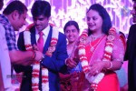 Saikumar Daughter Wedding Reception 04 - 47 of 49