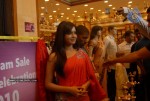 samantha-attends-kalanikethan-aashadadam-celebrations