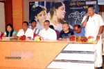 Sandhya Ragam Audio Launch - 7 of 13