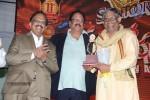Santosham 11th Anniversary Awards 03 - 92 of 131