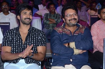 Sarrainodu Movie Success Meet 2 - 29 of 84