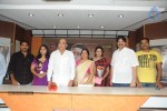 Satyam Vaipu Margam Press Meet - 21 of 32