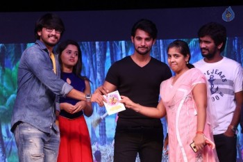 Seethamma Andalu Ramayya Sitralu Platinum Disc Function - 4 of 91