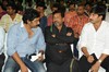 Telugu Cinema Shankam Audio Release Function Photos -  Prabhas - Gopi chand - Trisha - 44 of 86