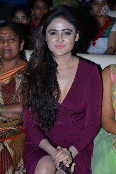 Shekaram Gari Abbayi Audio Launch - 21 of 33