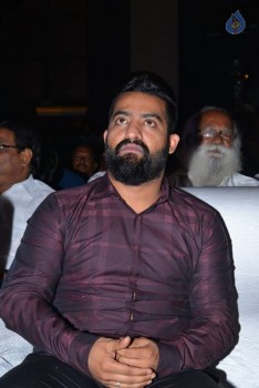 Sher Audio Launch 1 - 14 of 154