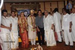 Sivaji Family Wedding Reception Photos - 5 of 58