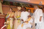 Sivaji Family Wedding Reception Photos - 37 of 58