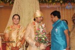 Sivaji Family Wedding Reception Photos - 36 of 58