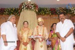 Sivaji Family Wedding Reception Photos - 46 of 58
