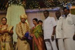 Sivaji Family Wedding Reception Photos - 52 of 58