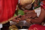 Sivaji Raja Daughter Wedding Photos 02 - 32 of 253