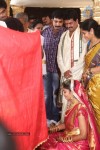 Sivaji Raja Daughter Wedding Photos 02 - 34 of 253