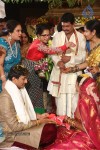 Sivaji Raja Daughter Wedding Photos 02 - 106 of 253