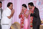 Sneha and Prasanna Wedding Reception Photos - 6 of 143