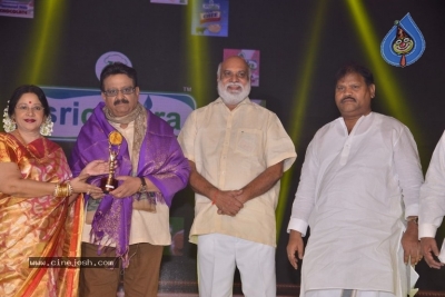 Sobhan Babu Awards 2019 - 83 of 114