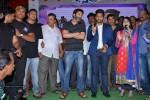 son-of-satyamurthy-success-meet-01