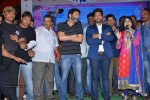 son-of-satyamurthy-success-meet-01