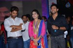 son-of-satyamurthy-success-meet-01